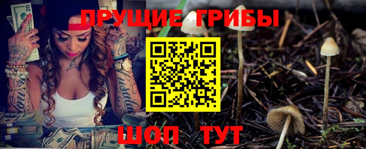Галлюциногенные грибы GOLDEN TEACHER Рославль