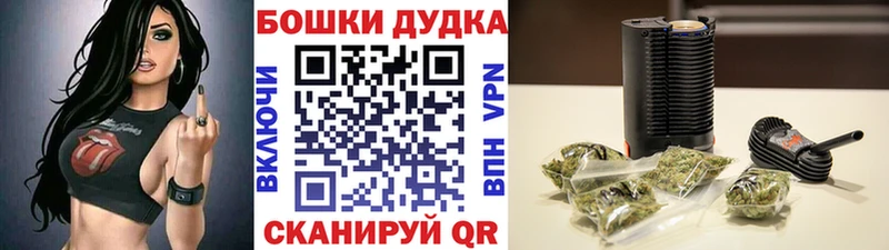 Шишки марихуана Amnesia  Рославль 