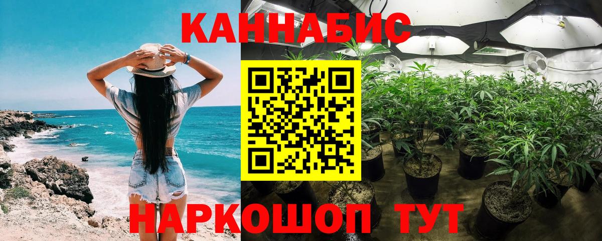 Бошки Шишки планчик  Бошки марихуана планчик  Рославль  Вход с VPN  Марихуана SATIVA & INDICA 